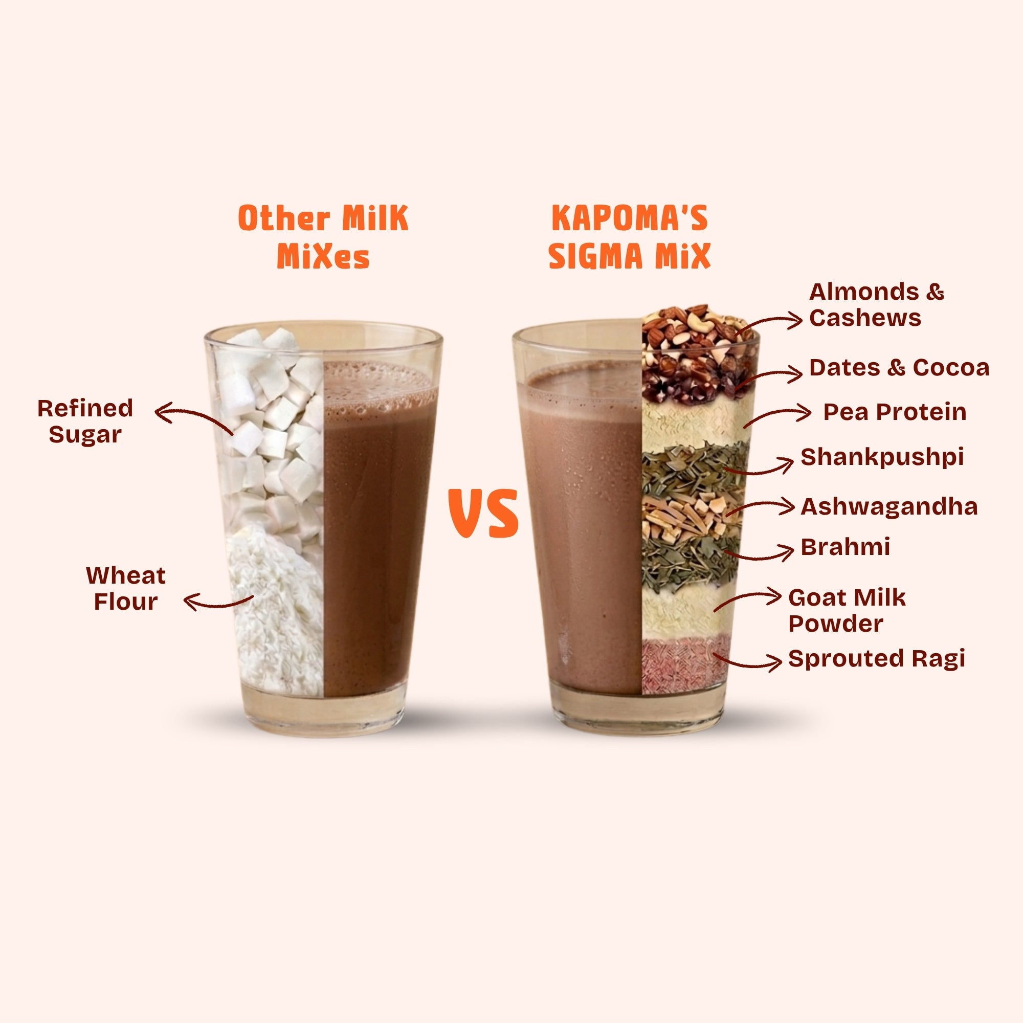 SIGMA Ayurvedic Nutrition Mix