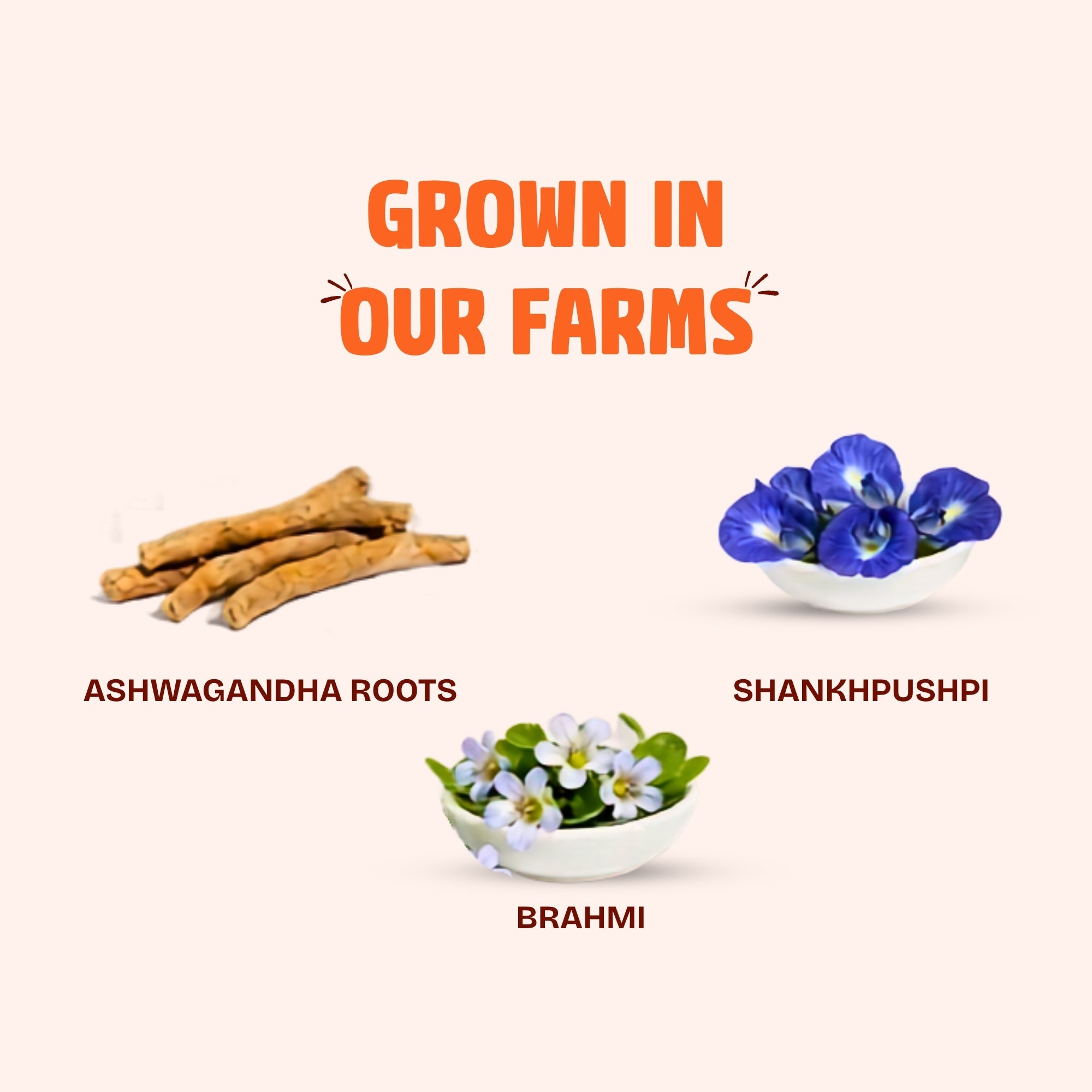 SIGMA Ayurvedic Nutrition Mix