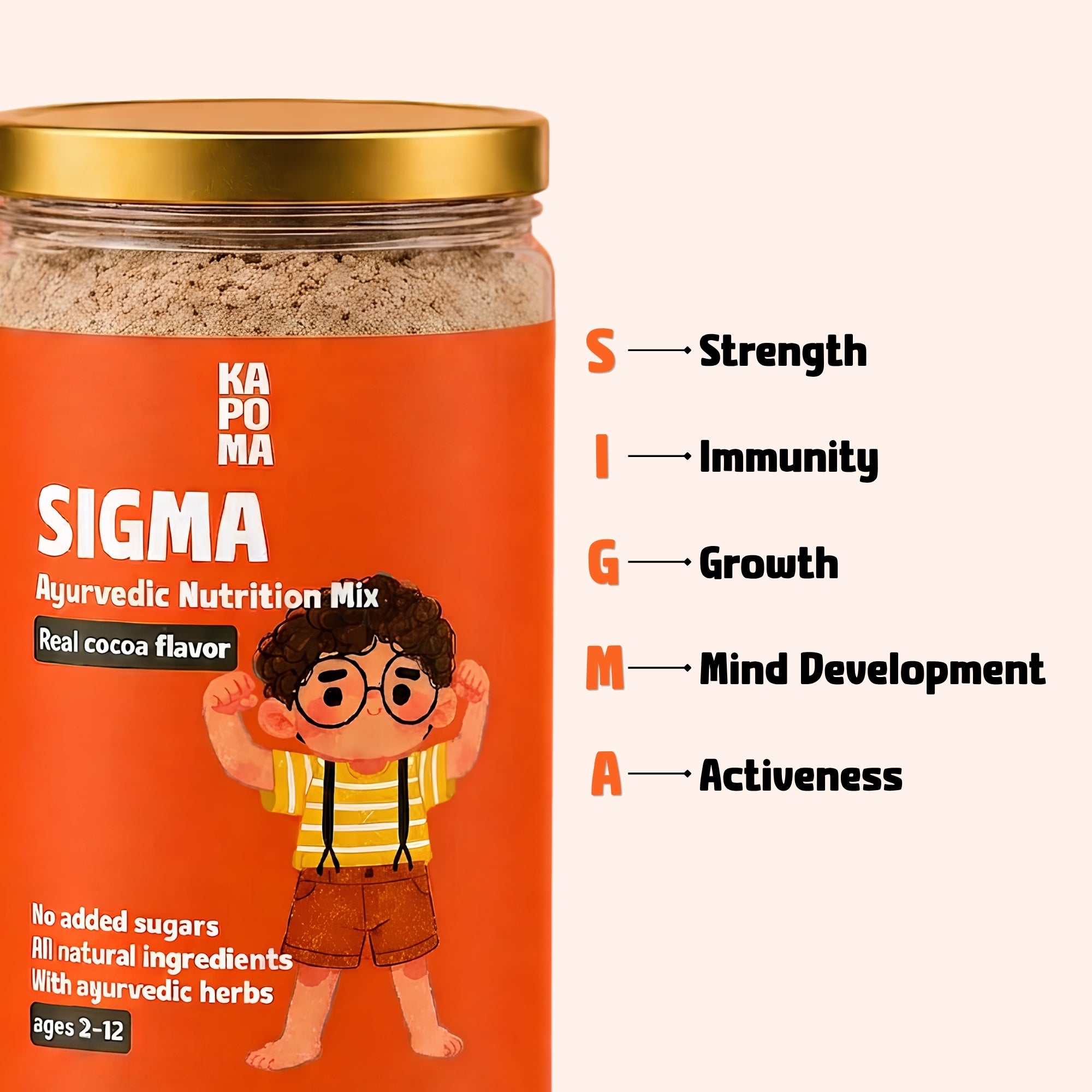 SIGMA Ayurvedic Nutrition Mix
