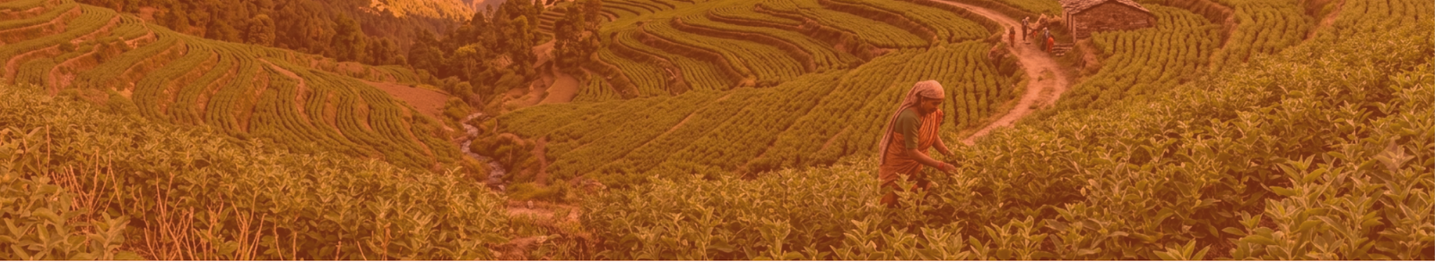 POSHAN | Clean nutrition. Because your body deserves the good stuff.