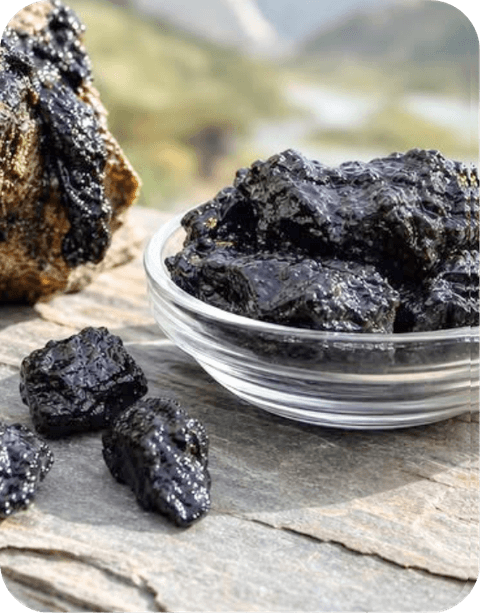 Shuddha Shilajit